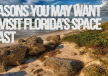 FUN-Reasons You May Want to Visit Florida’s Space Coast
